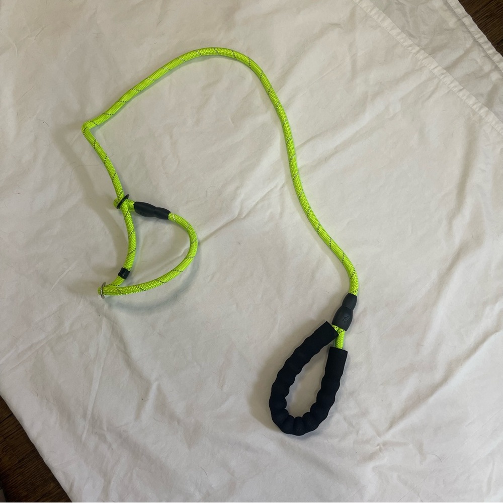 Neon Yellow Slip lead for puppy